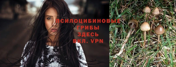 твердый Бугульма